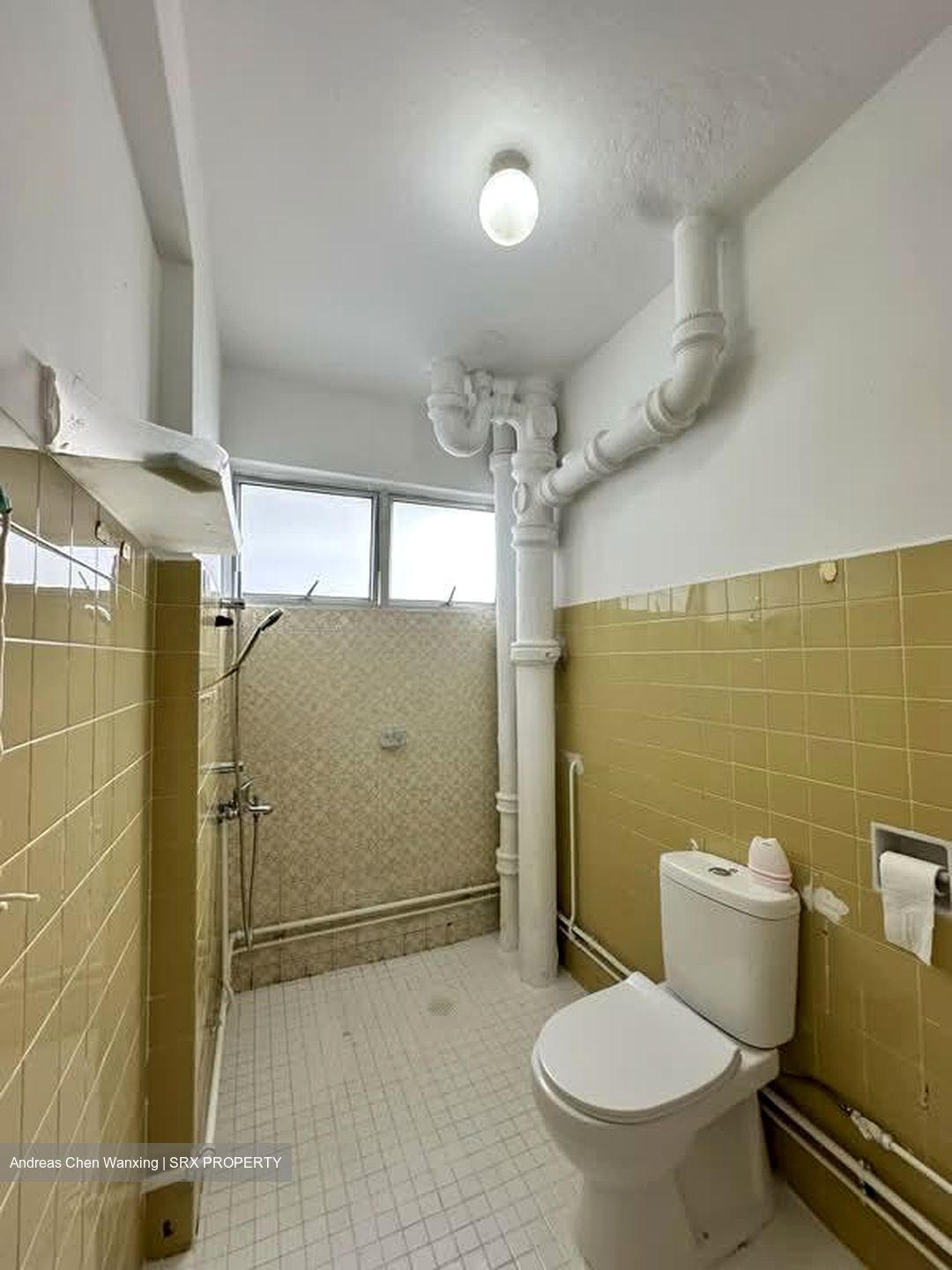 Lagoon View (D15), Apartment #538529741